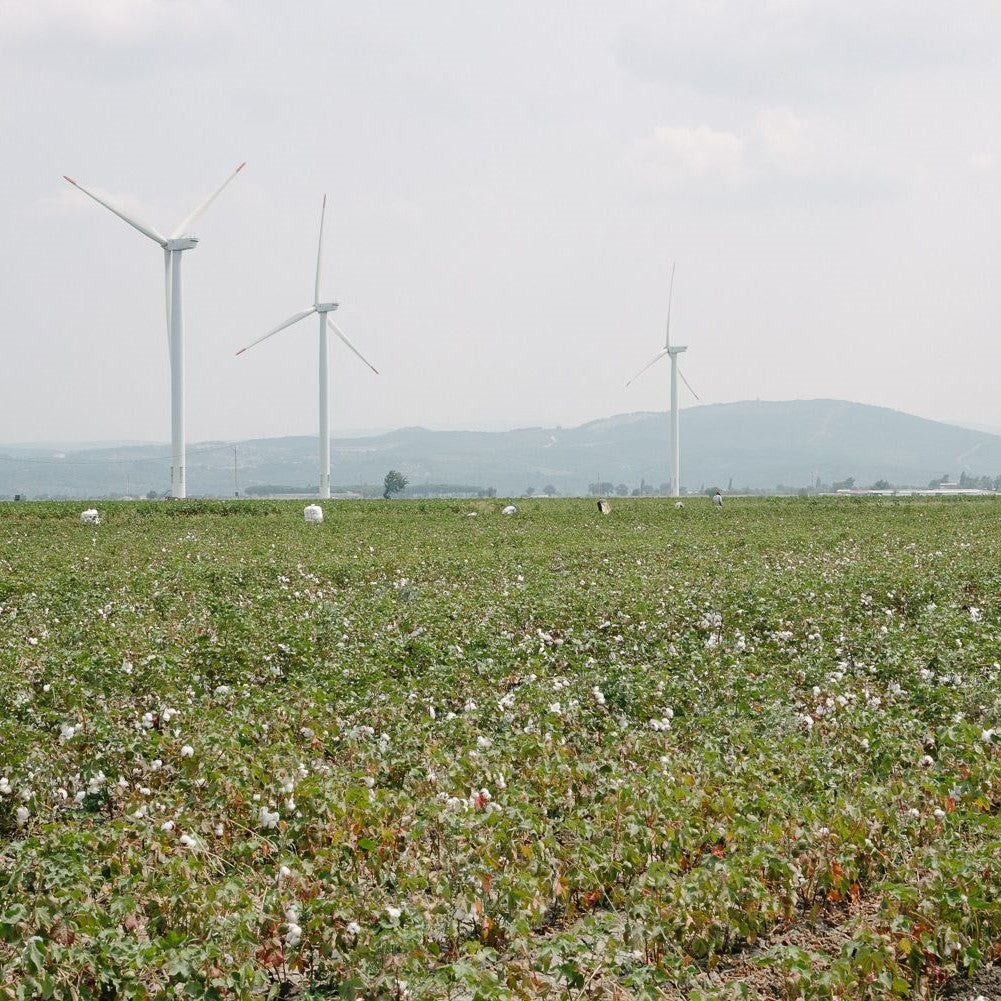 Ege Organics Sustainability