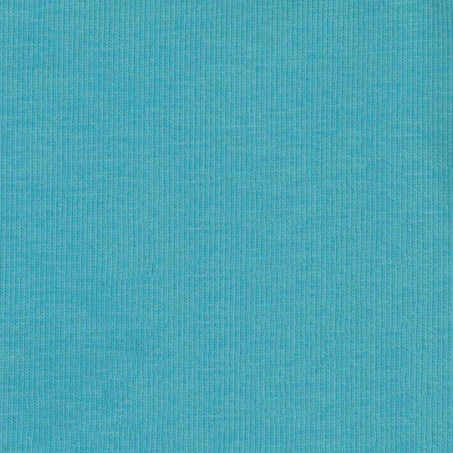 95% Organic Cotton, 5% Elastane Single Jersey - Aqua (2SP060)