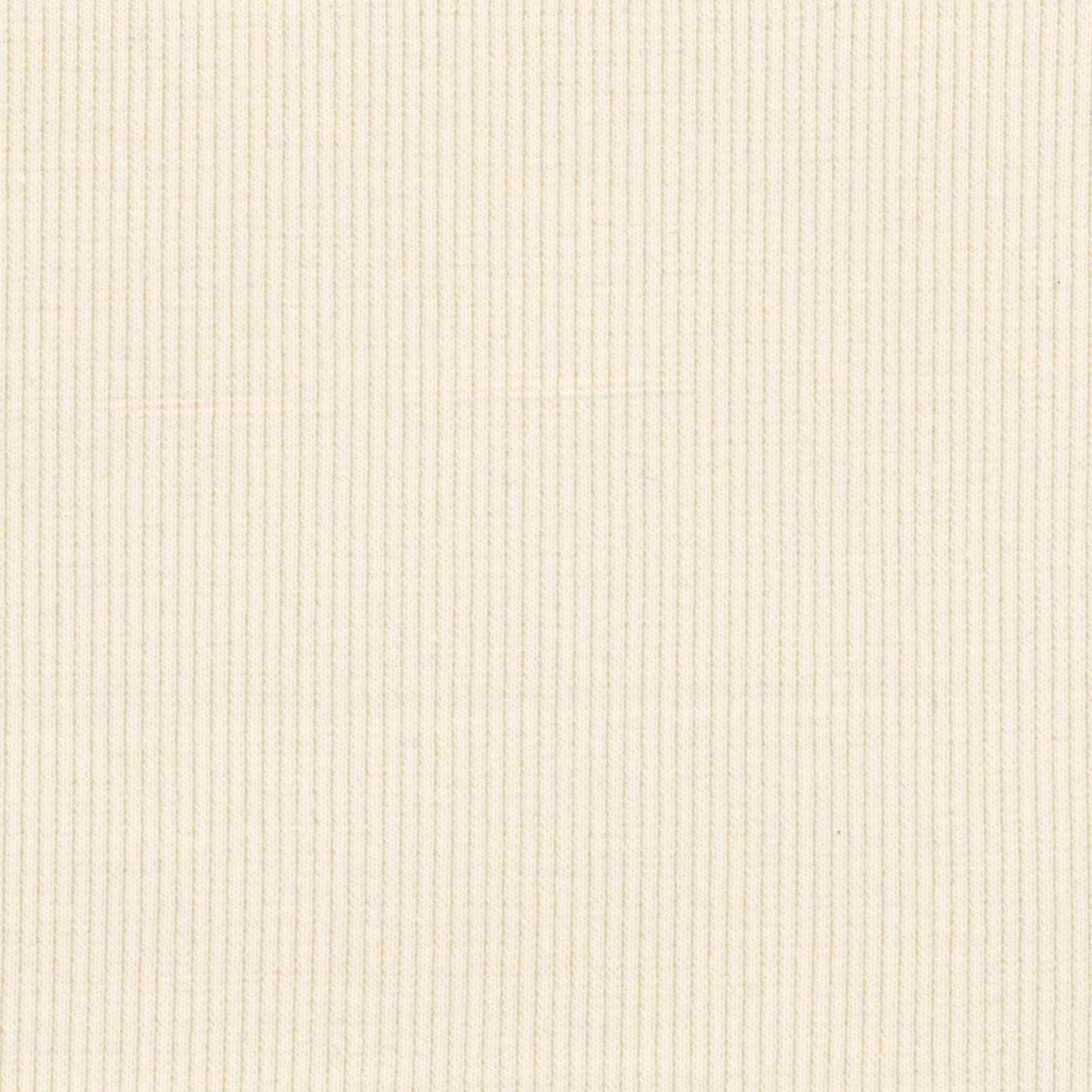 95% Organic Cotton - 5% Elastane Rib Knit - Ivory (2RB172)